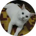 avatar 1